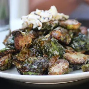 oysters and mussels, mussels, food, shellfish, oysters