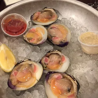 Native Cherrystone Clams
