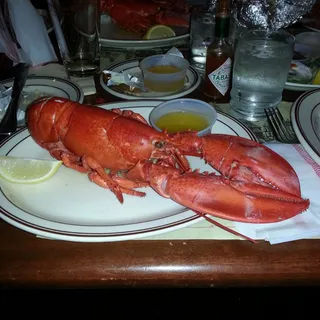 Medium Lobster - Boiled