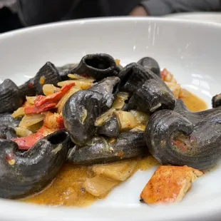 Squid Ink Garganelli