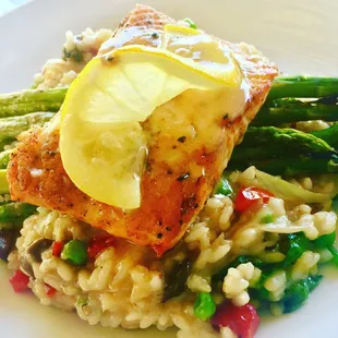 Salmon.