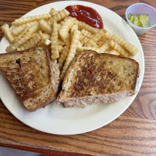 Tuna melt &amp; fries