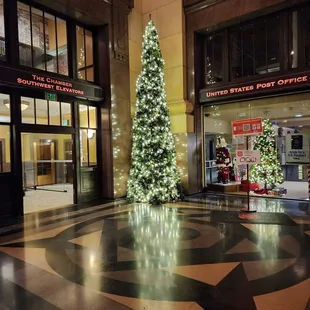 This plain and simple tree is over by the post office.