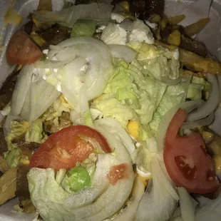 &quot;Gyro Cheese Fries&quot;