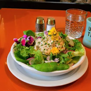 Bibb &amp; Avocado Salad with Chicken Salad on top.