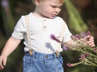 Timmy's Treehouse Print Studio