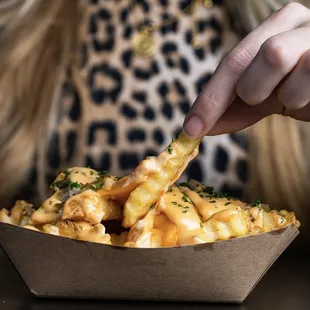 Fully Loaded Fries