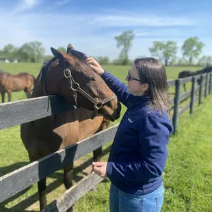Lots of petting and love