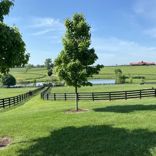 Another beautiful picture of one of the farms