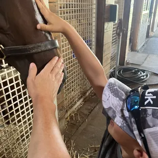 Loved this part! So many friendly yearlings at Kaitrich Farm