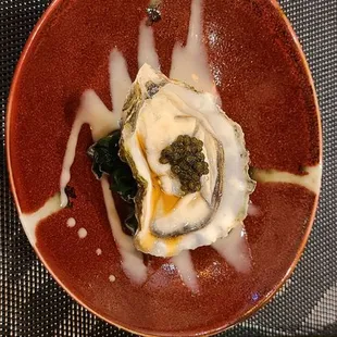 oysters, food, mussels, oysters and mussels, shellfish