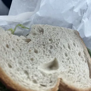 hair in S6. Club Sandwich ‍