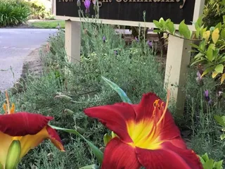 New Thought Community