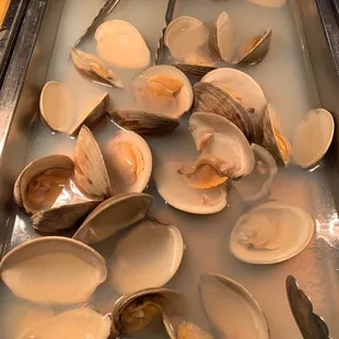 Stone clam