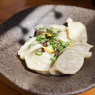 Chicken Mushroom Truffle Dumplings
