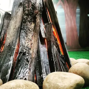 Our professor hasn't been heard from in a week! What did he find out there?!