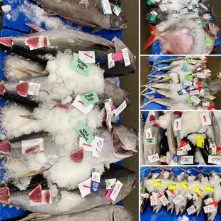 a variety of fish for sale