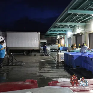 Honolulu Fish Auction