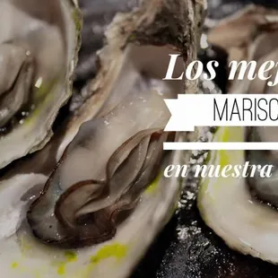 mussels, shellfish, oysters and mussels, oysters, food