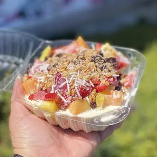 Bionico - mixed fruit dessert