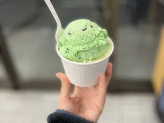 Double Rainbow Ice Cream