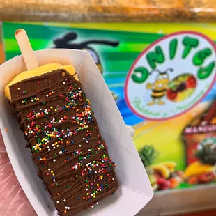 Chocolate covered popsicles