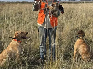 Hastings Island Hunting Preserve