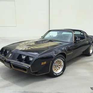 Complete graphics and decals made to factory specs!