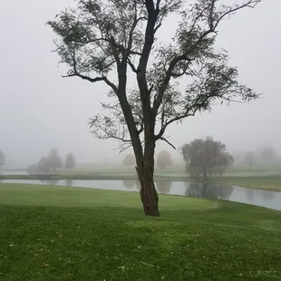 Hole 12 Beautiful in late fall, minus the fog!