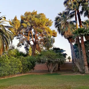 Can you imagine hosting an event out here?