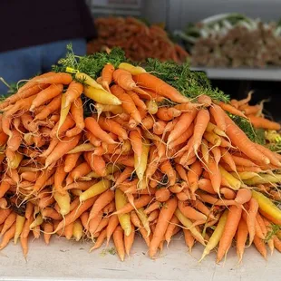 Fresh organic carrots