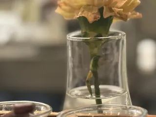 Salt New American Table