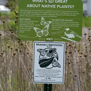 Native plant warning