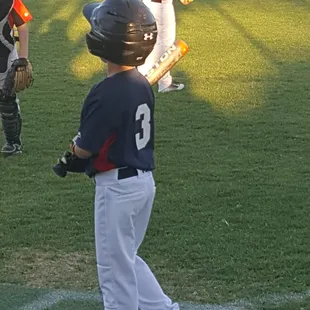 Beautiful grass fields