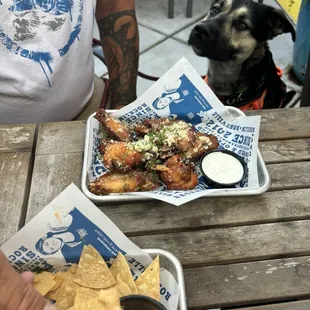 Wings and chips with queso on happy hour BOGO free