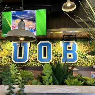 sushi and sashimi, interior