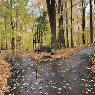 Two roads diverged in a yellow wood