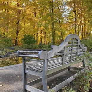 Many benches to sit and absorb nature surrounding you.
