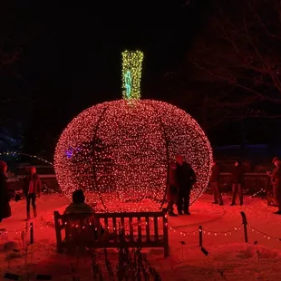 Winter Lights @ the Arboretum Exhibit