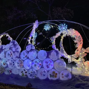 Winter Lights @ the Arboretum Exhibit:   Artist Jennifer Hedberg's luminescent ice sculptures