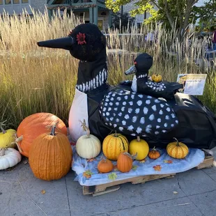 A fun seasonal display!