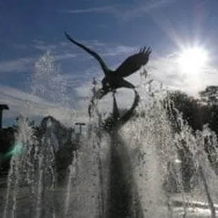 Fountain in front of UNF Arena.  Pix from website