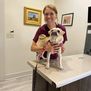 The vet examined Shryke today. All very good