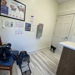 Seeing the vet for exam and shots