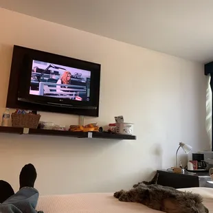 Doggie friendly and doggie approved. Big &amp; comfy bed.