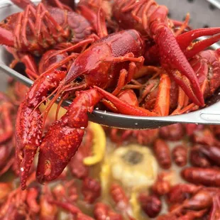 My only spot for live and boiled crawfish!