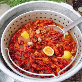 Crawfish from University Seafood!