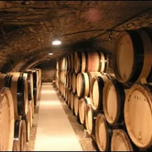 Domaine Magnien caves in Chambolle-Musigny