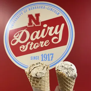 Cappuccino Chocolate Chip &amp; S'mores in waffle cones