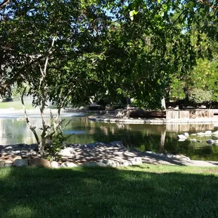 Taking a moment to clear my mind. *peace...serenity*